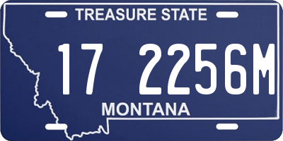 MT license plate 172256M