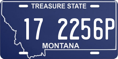 MT license plate 172256P
