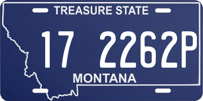 MT license plate 172262P