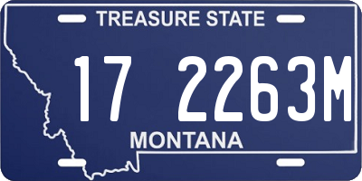 MT license plate 172263M