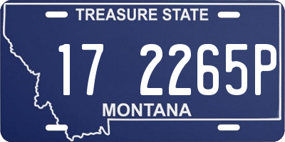 MT license plate 172265P