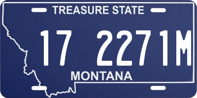 MT license plate 172271M