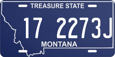 MT license plate 172273J