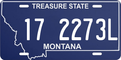 MT license plate 172273L