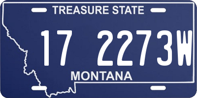 MT license plate 172273W