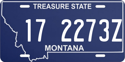 MT license plate 172273Z