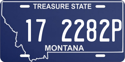 MT license plate 172282P