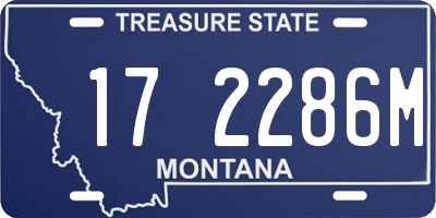 MT license plate 172286M