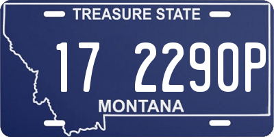 MT license plate 172290P