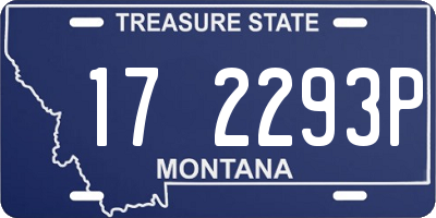 MT license plate 172293P