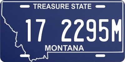 MT license plate 172295M