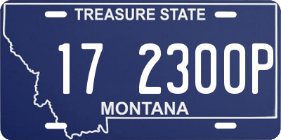 MT license plate 172300P