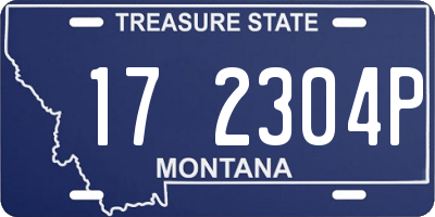 MT license plate 172304P