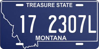 MT license plate 172307L