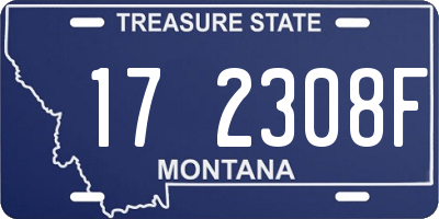 MT license plate 172308F