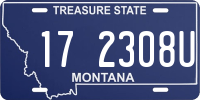 MT license plate 172308U