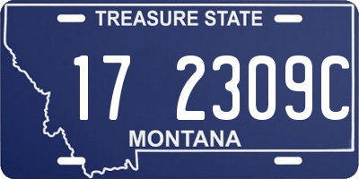MT license plate 172309C