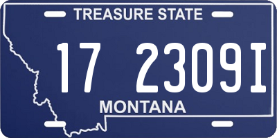 MT license plate 172309I