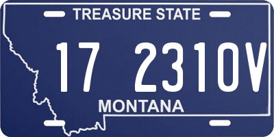 MT license plate 172310V