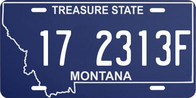 MT license plate 172313F