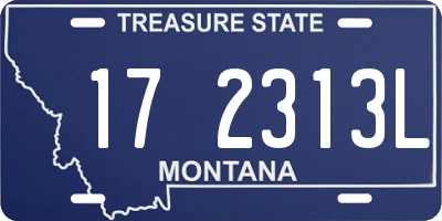 MT license plate 172313L