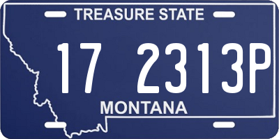 MT license plate 172313P