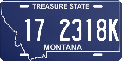 MT license plate 172318K