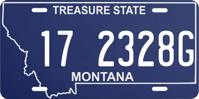 MT license plate 172328G
