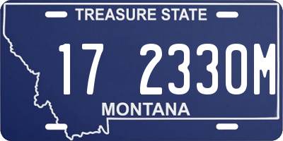 MT license plate 172330M