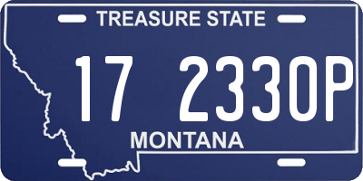 MT license plate 172330P