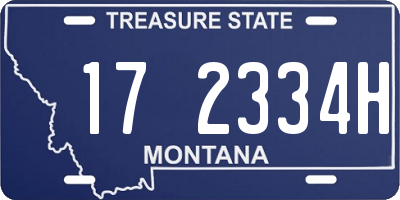 MT license plate 172334H