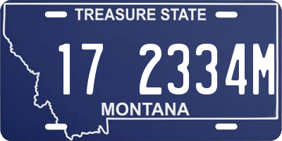 MT license plate 172334M