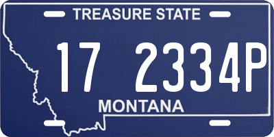 MT license plate 172334P