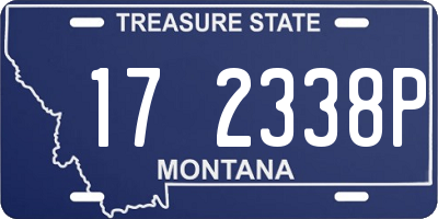 MT license plate 172338P