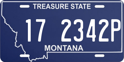 MT license plate 172342P