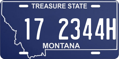 MT license plate 172344H