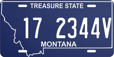 MT license plate 172344V