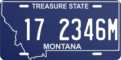 MT license plate 172346M