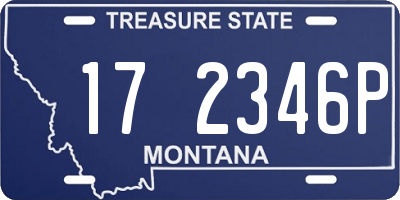MT license plate 172346P