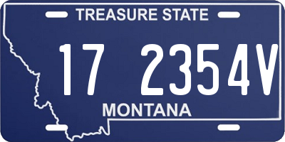 MT license plate 172354V