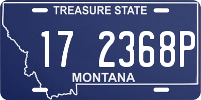 MT license plate 172368P