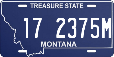 MT license plate 172375M