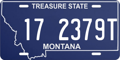 MT license plate 172379T