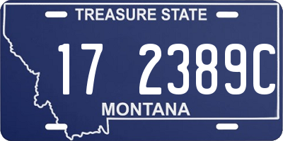MT license plate 172389C