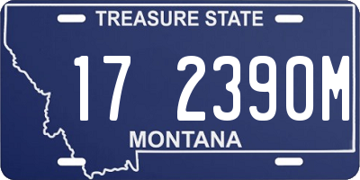 MT license plate 172390M