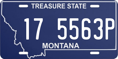 MT license plate 175563P