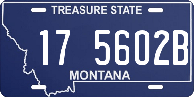 MT license plate 175602B