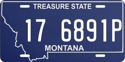 MT license plate 176891P