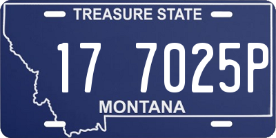 MT license plate 177025P
