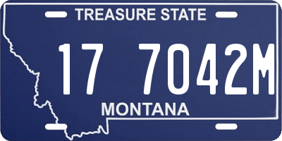 MT license plate 177042M